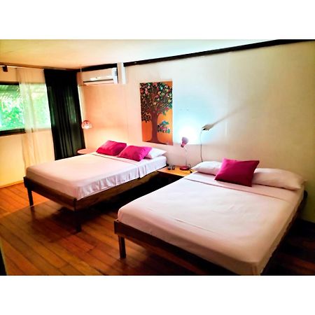Cabinas Coconut Grove Puerto Viejo de Talamanca Bagian luar foto