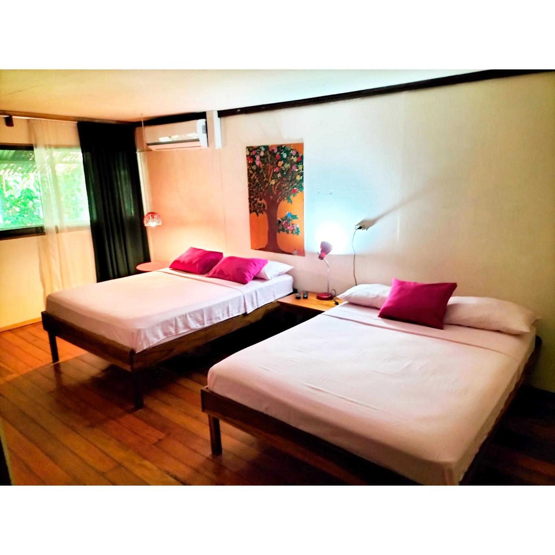 Cabinas Coconut Grove Puerto Viejo de Talamanca Bagian luar foto