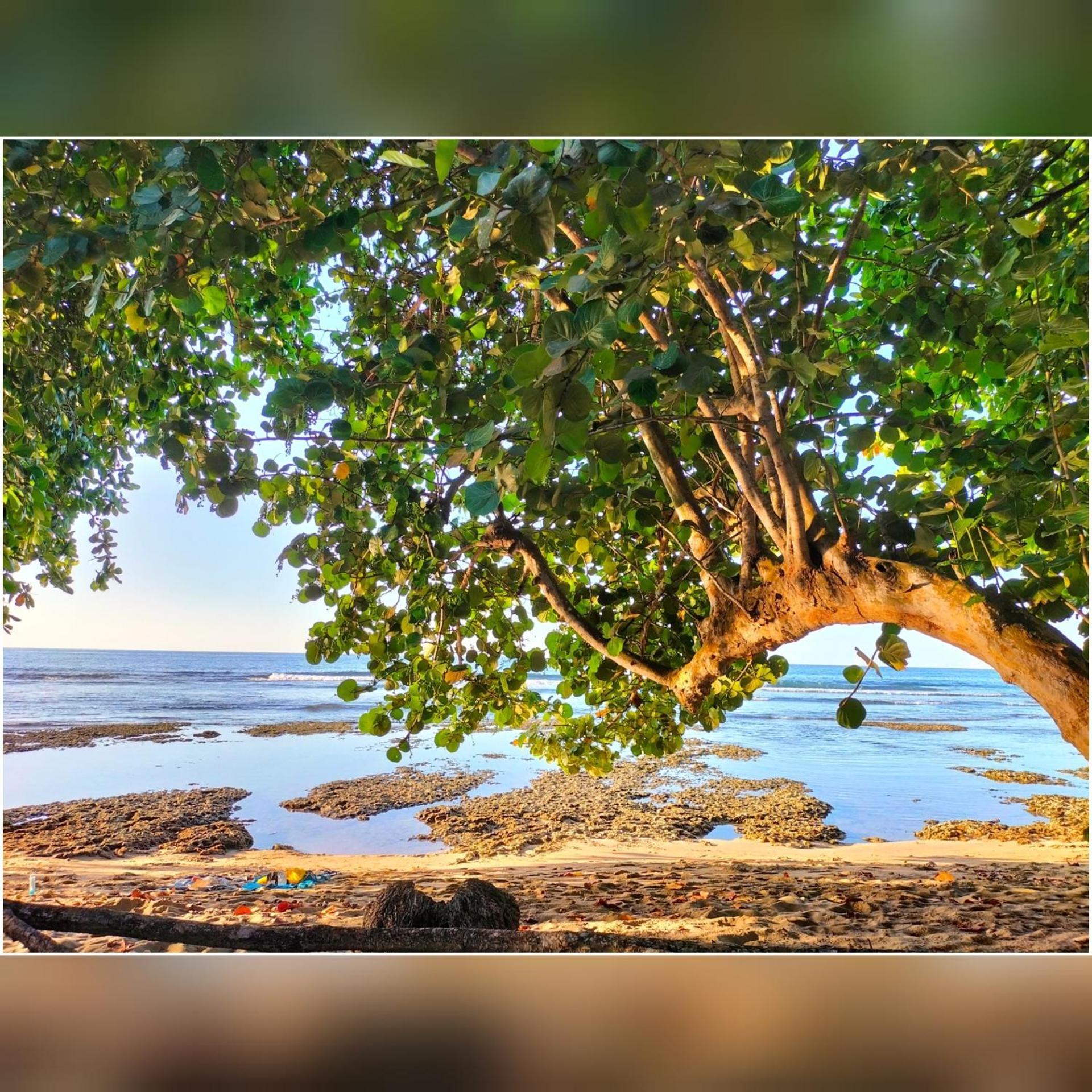 Cabinas Coconut Grove Puerto Viejo de Talamanca Bagian luar foto
